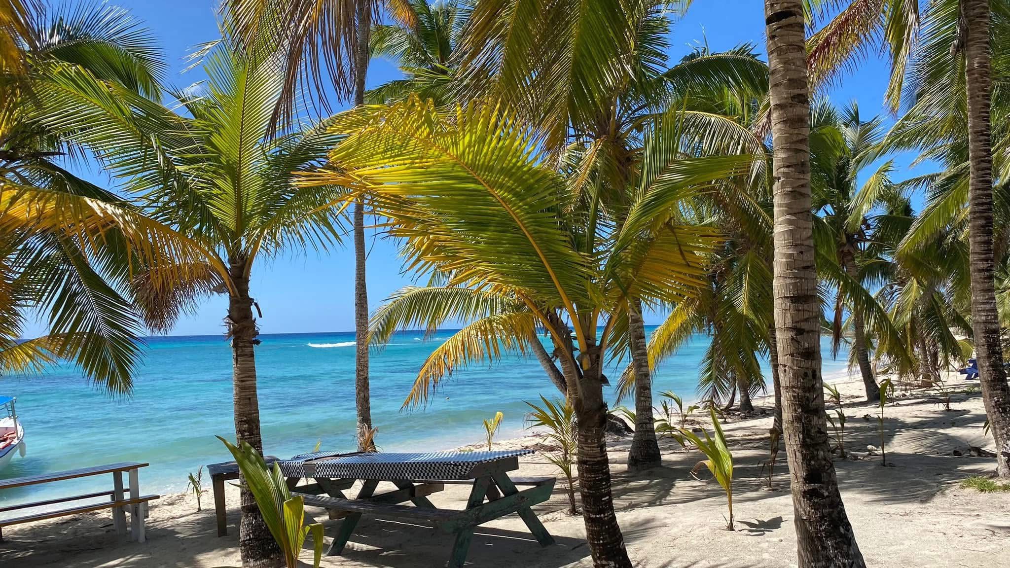 Saona Island  Private  VIP Private  From 4 to 15   By Seaside Punta cana Excursions