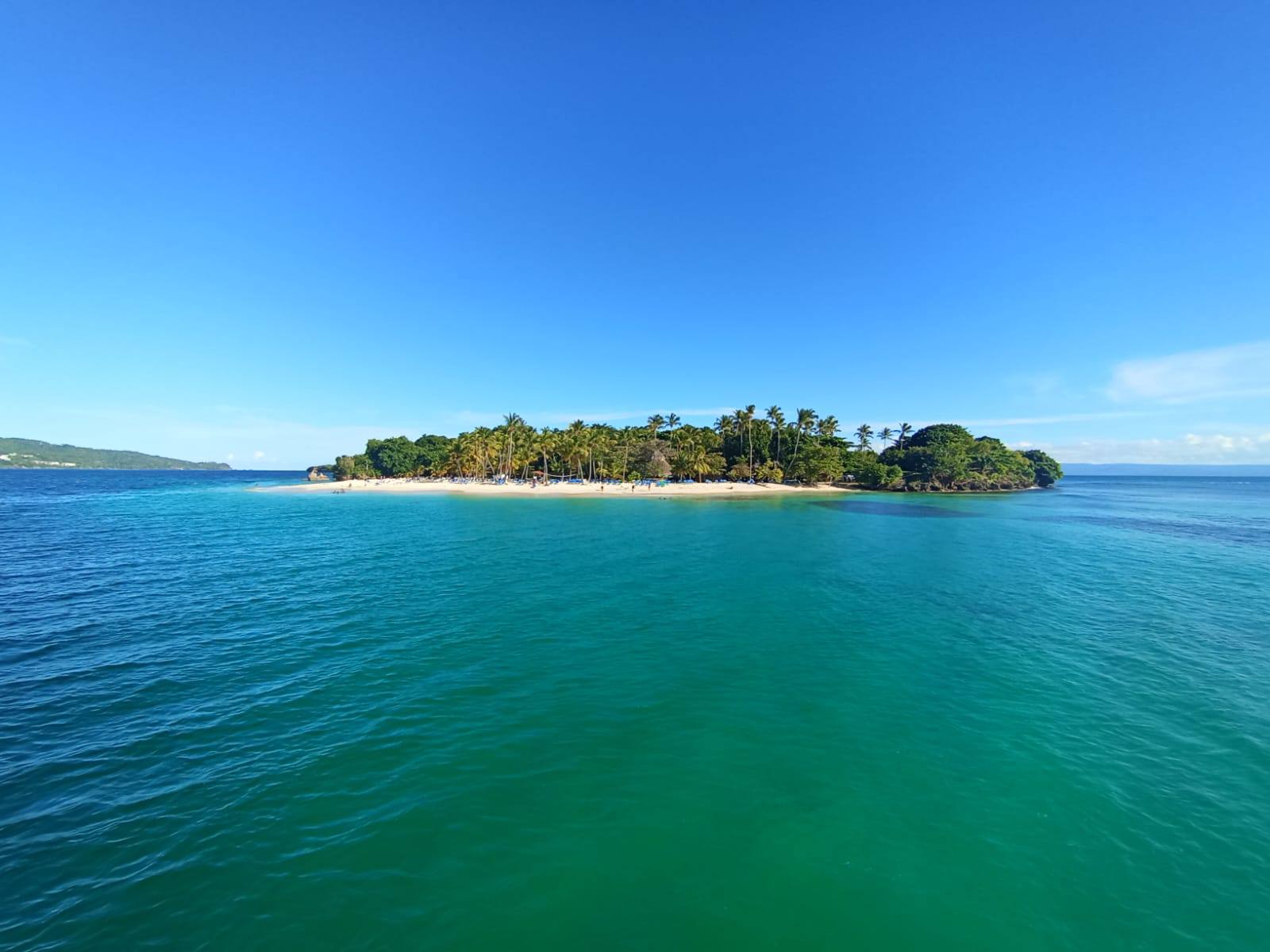 Whale  Watching By Seaside punta cana excursions